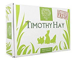 Small Pet Select 2nd Cutting Timothy Hay Pet Food