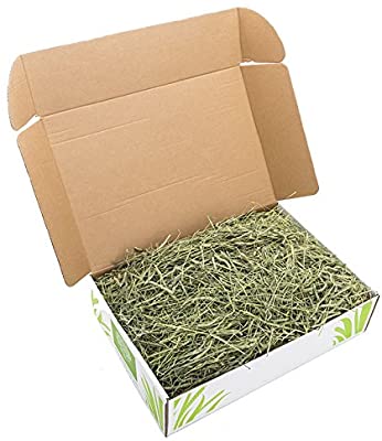 Small Pet Select 2nd Cutting Timothy Hay Pet Food