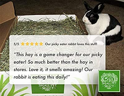Small Pet Select Orchard Grass Hay Pet Food