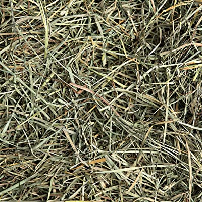 Small Pet Select Orchard Grass Hay Pet Food
