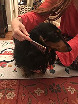 Small Pet Select Pet HairBuster Comb