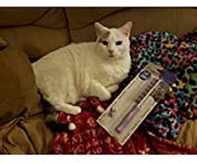Small Pet Select Pet HairBuster Comb