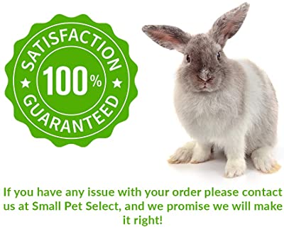 Small Pet Select Pet HairBuster Comb