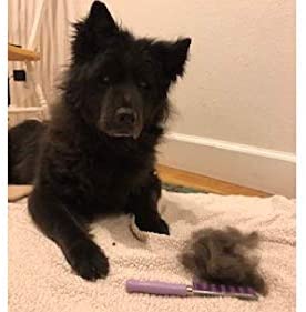 Small Pet Select Pet HairBuster Comb