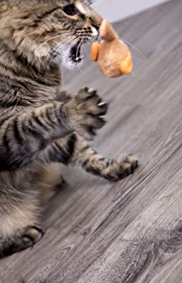 SmartyKat, Chickadee Chirp, Electronic Sound Cat Toy