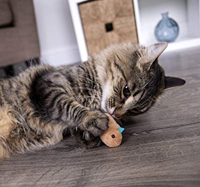 SmartyKat, Chickadee Chirp, Electronic Sound Cat Toy