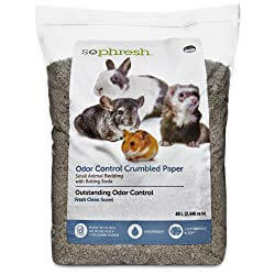 ferret bedding