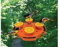 Songbird Essentials SE905 Ultimate Oriole Feeder