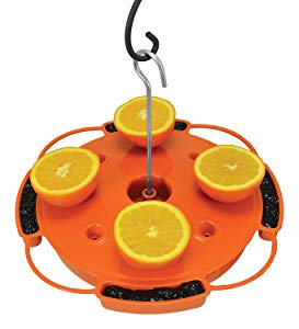 Songbird Essentials SE905 Ultimate Oriole Feeder
