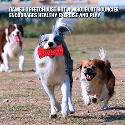 Squeak and Fetch Toy