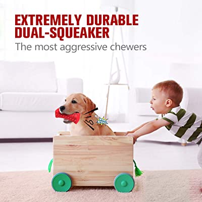 Squeak and Fetch Toy