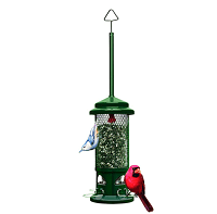 Squirrel Buster Standard Squirrel-proof Bird Feeder w/4 Metal Perches