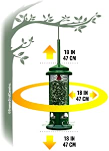 Squirrel Buster Standard Squirrel-proof Bird Feeder w/4 Metal Perches