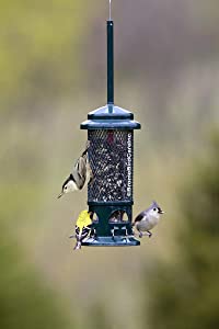 Squirrel Buster Standard Squirrel-proof Bird Feeder w/4 Metal Perches