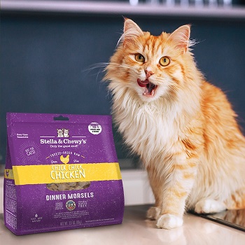 Stella & Chewy's Chick Chick Chicken Dinner Morsels Freeze-Dried Raw Cat Food