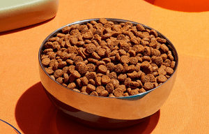 Smalls Turkey Kibble