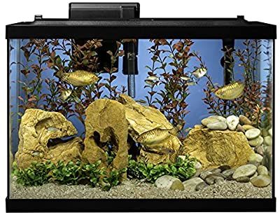 Tetra Aquarium 20 Gallon Fish Tank Kit, Includes LED Lighting and Decor