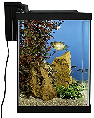 Tetra Aquarium 20 Gallon Fish Tank Kit, Includes LED Lighting and Decor