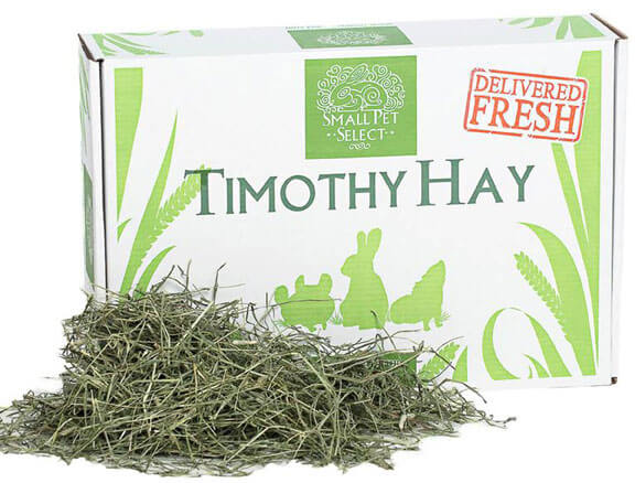 Small Pet Select Second Cut Timothy Hay Small Animal Food