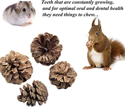 VCZONE Rabbit Chew Toys, Pet Bunny Tooth Chew Toys