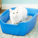 Van Ness High Sides Cat Litter Pan