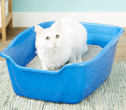 Van Ness High Sides Cat Litter Pan