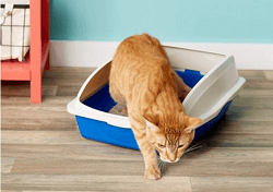 Van Ness Large Framed Cat Litter Pan