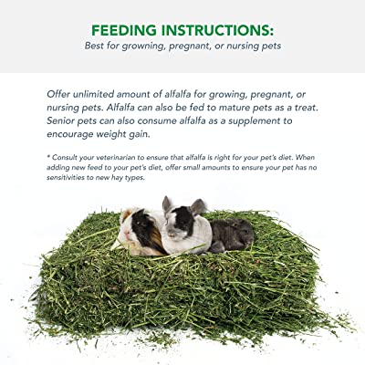 Viking Farmer Alfalfa Hay for Rabbits & Small Pets