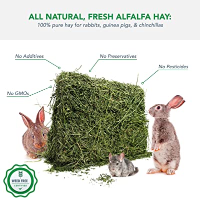 Viking Farmer Alfalfa Hay for Rabbits & Small Pets