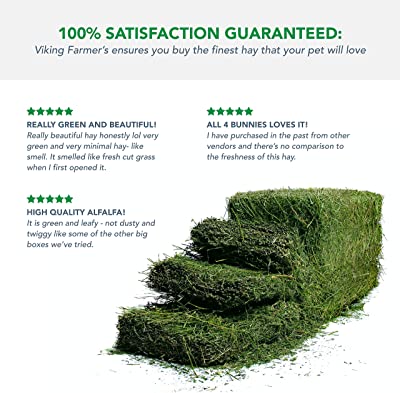 Viking Farmer Alfalfa Hay for Rabbits & Small Pets
