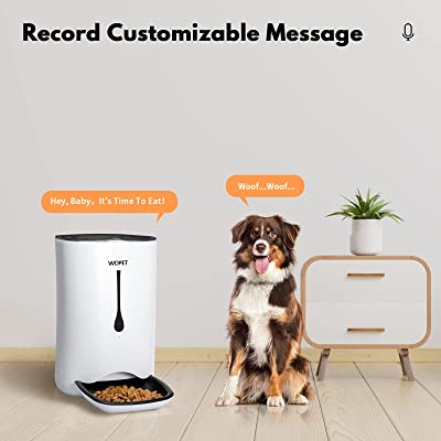 WOpet 7L Automatic Pet Feeder