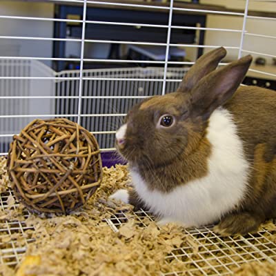 Ware Manufacturing Willow Branch Ball for Small Animals