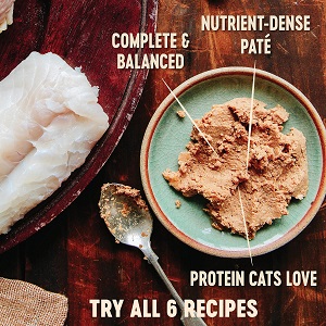 Wellness CORE Natural Grain Free Turkey & Chicken Liver Pate Canned Kitten Food