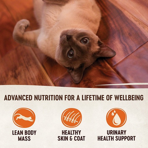 Wellness CORE Natural Grain Free Turkey & Chicken Liver Pate Canned Kitten Food