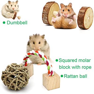 ZALALOVA Hamster Chew Toys