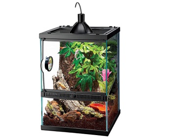 Zilla Tropical Reptile Vertical Starter Kit