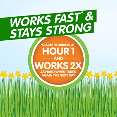 Zyrtec 24 Hour Allergy Relief