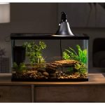 Aquarium Starter Kit Fish Reptile Turtle Habitat Tank Filter Lamp Lid