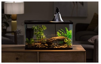 Aquarium Starter Kit Fish Reptile Turtle Habitat Tank Filter Lamp Lid