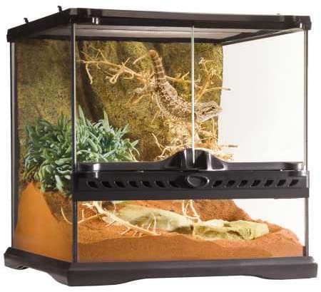 Exo Terra Glass Terrarium Kit