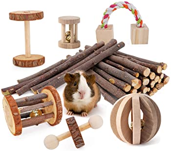 JanYoo Hamster Chews Toys