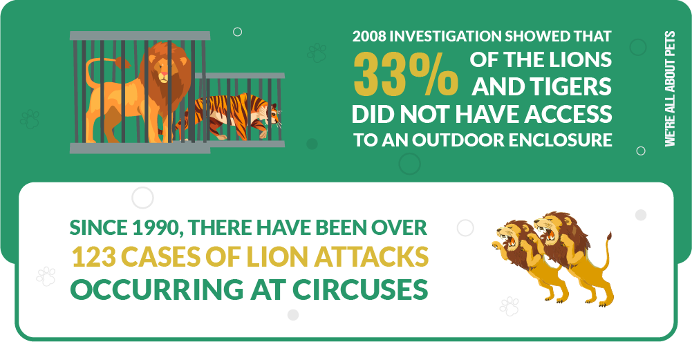 Since 1990, there have been over 123 cases of lion attacks occurring at circuses