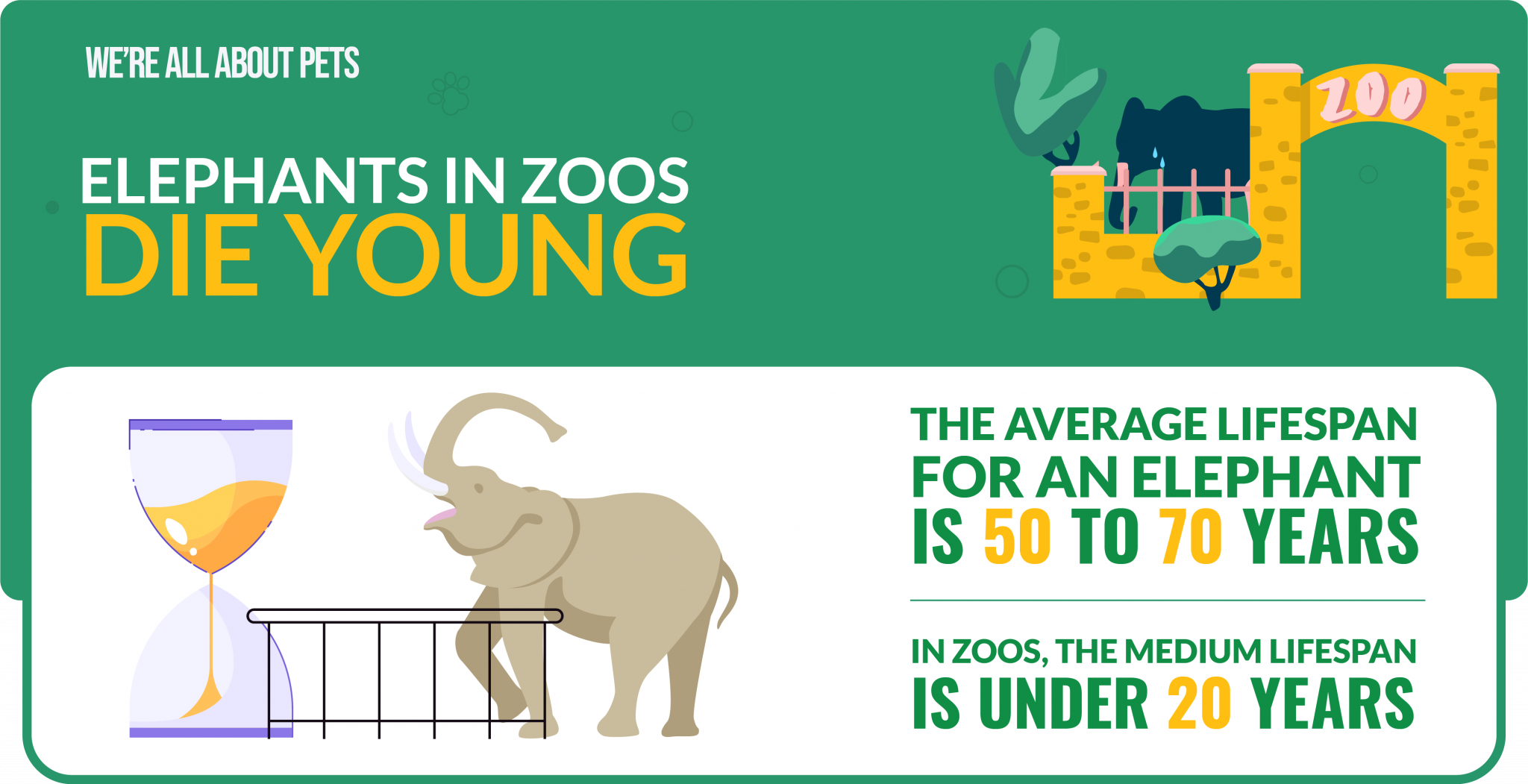 55 Alarming Animals In Captivity Statistics We're All About Pets