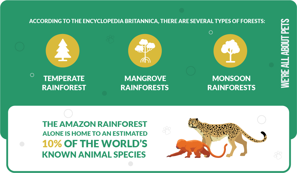 types of rainforests according to Encyclopedia Britannica