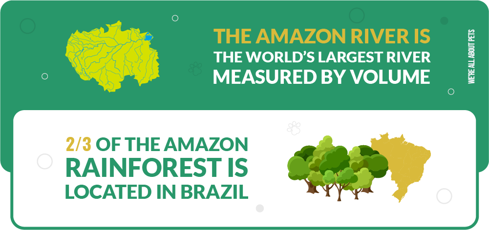 amazon river is the world's larges river measured by volume