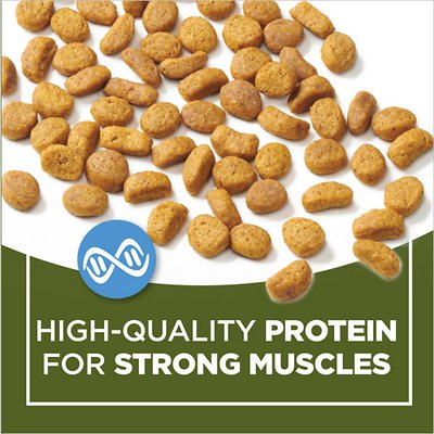 Cat Chow Naturals Original Dry Cat Food