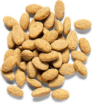 ZuPreem Natural Daily Parrot & Conure Bird Food