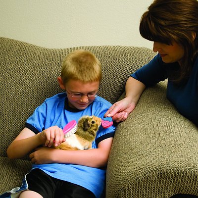 Ware Groom-N-Kit for Small Animals