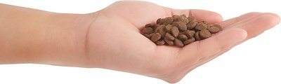 ORIJEN Dry Cat Food for Cats & Kittens