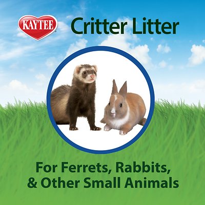 Kaytee Critter Litter Premium Potty Training Small Animal Litter
